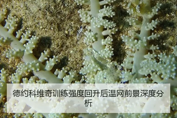 德约科维奇训练强度回升后温网前景深度分析